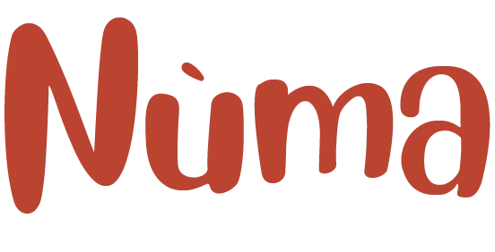Logo Nùma créer par Vincent